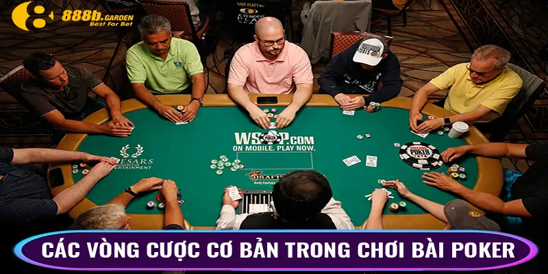 Các vòng cược cơ bản trong cách chơi bài poker