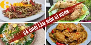 gà chọi làm món gì ngon 888b