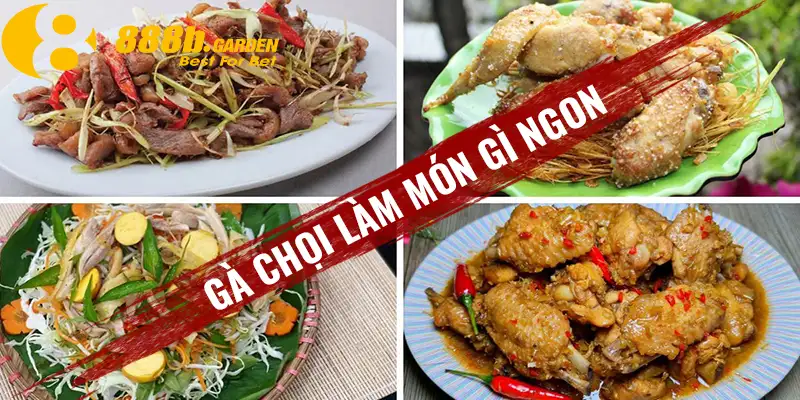 gà chọi làm món gì ngon 888b