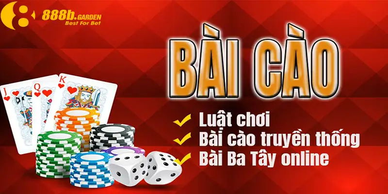 Hiểu rõ quy luật hoạt động trong bài cào